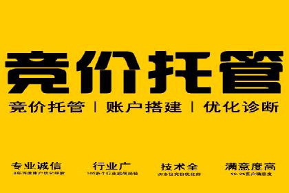 竞价广告案例分析：行业领军企业经验分享